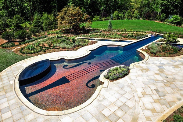 Бассейн в форме скрипки