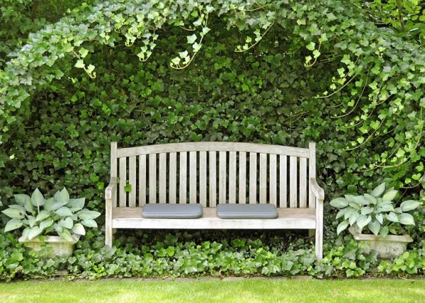 Место для скамейки в саду