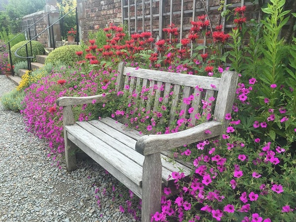 Красивые скамейки в саду.