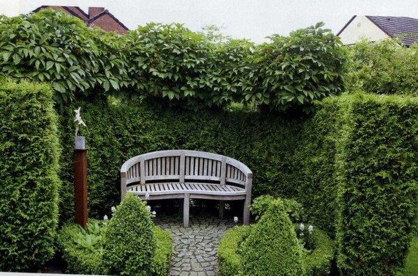 «Зеленая комната» в саду: дизайн живой изгороди с фото, оформление садовых перегородок
