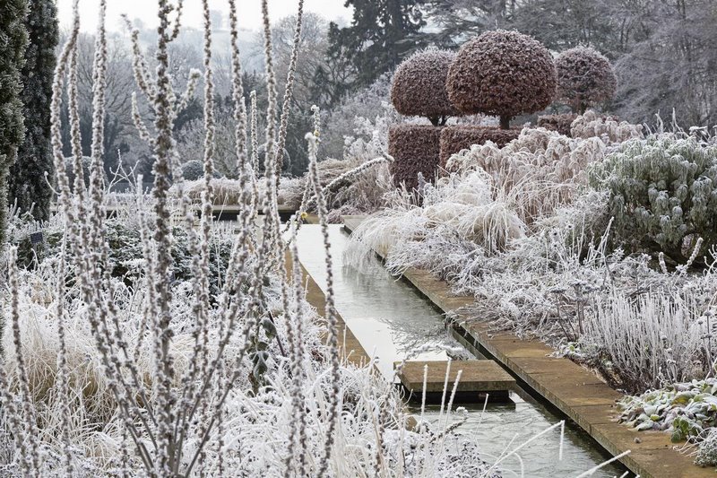 Зимний сад в квартире: особенности обустройства | ⏩ Блог gkhyarovoe.ru