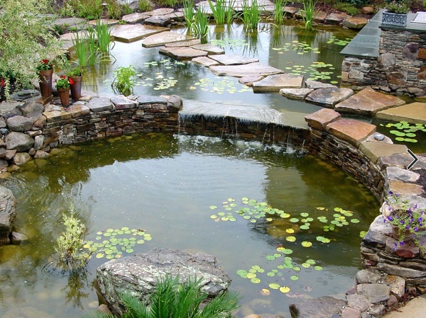 Искусственный водоем в Вашем саду. Часть 1